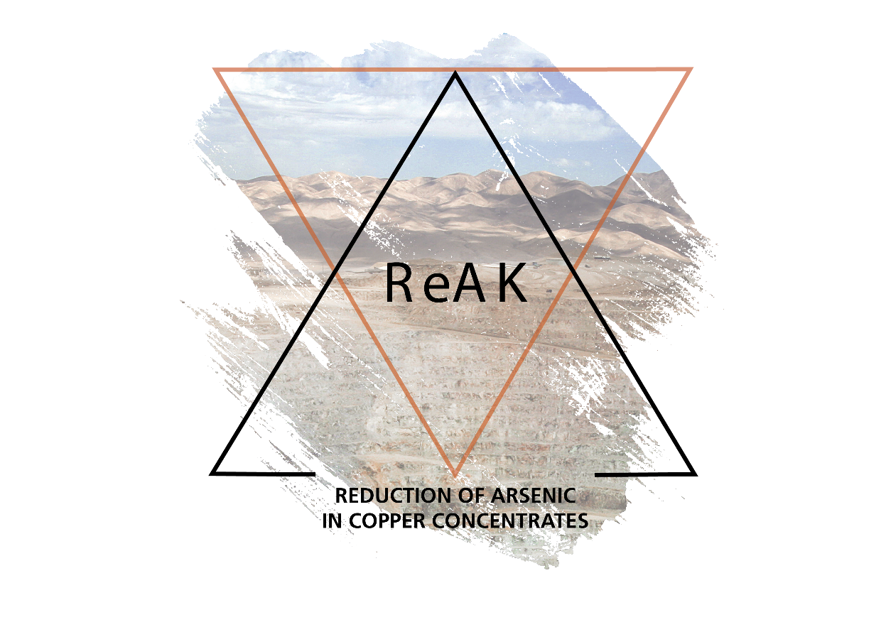 Logo ReAK