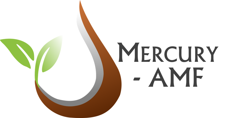 Mercury-AMF Logo
