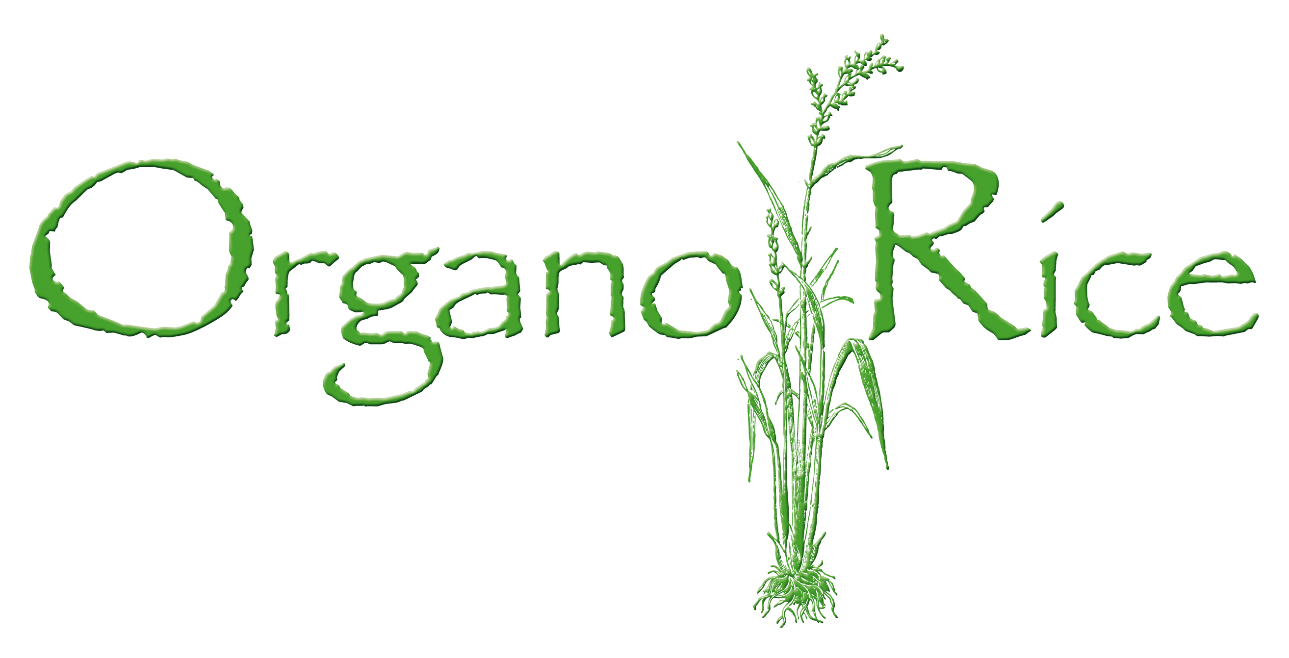 Logo OrganoRice