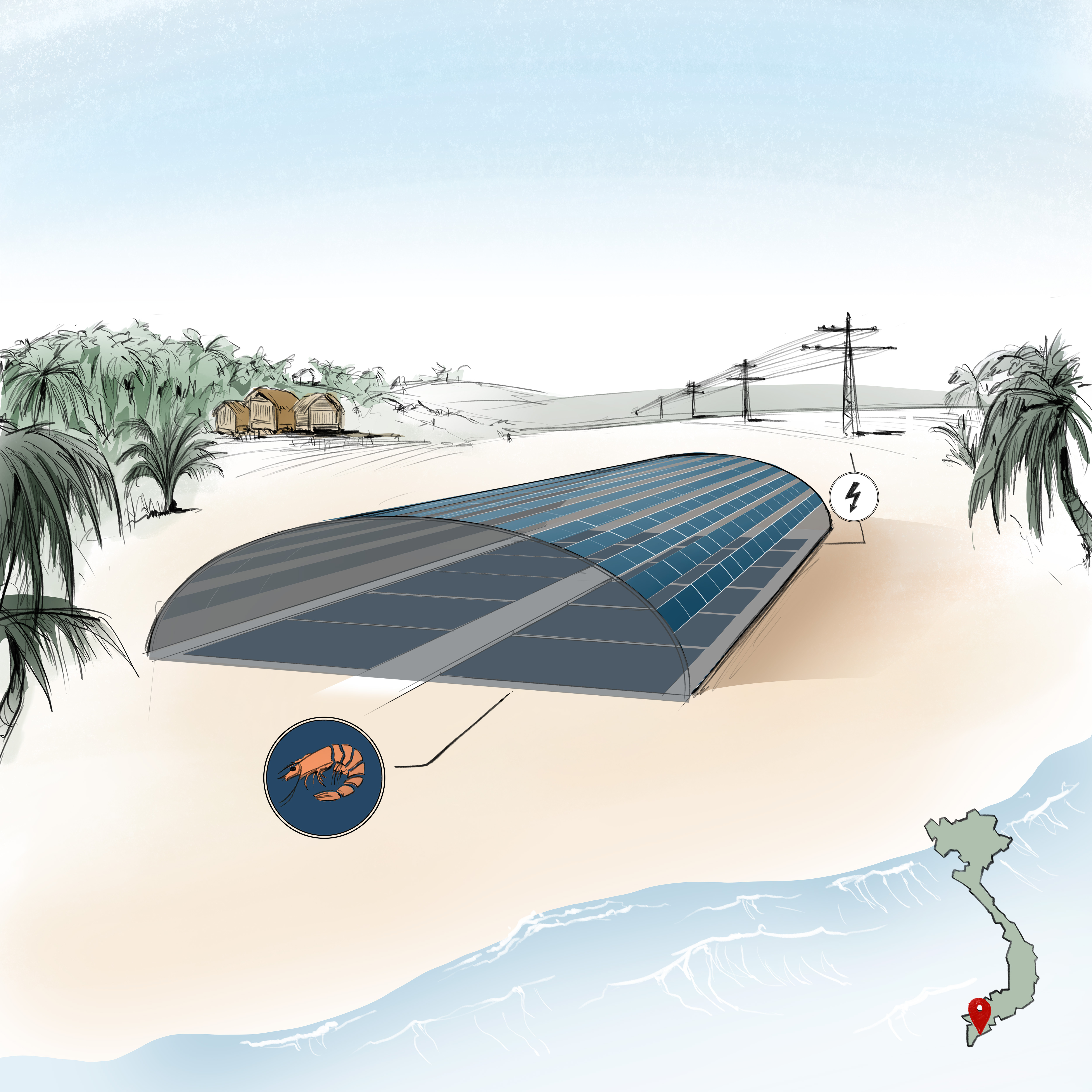 Sketch of the planned photovoltaic greenhouse for shrimps in Bac Lieu.