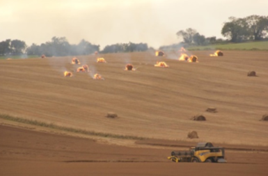 Linseed straw burning in the fields. © David Hill (credit CC BY-ND 3.0)