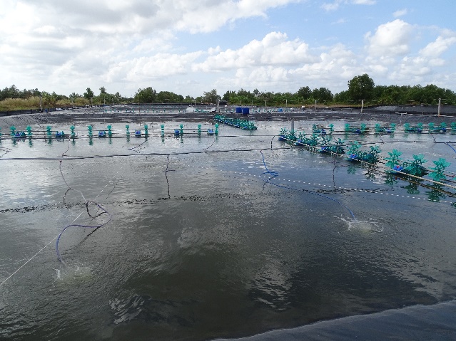 Water-intensive shrimp farming in the southern Mekong Delta. © KIT, Nicolas Börsig