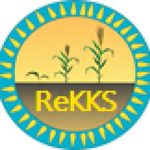 Logo ReKKS