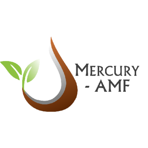 © MERCURY-AMF Logo